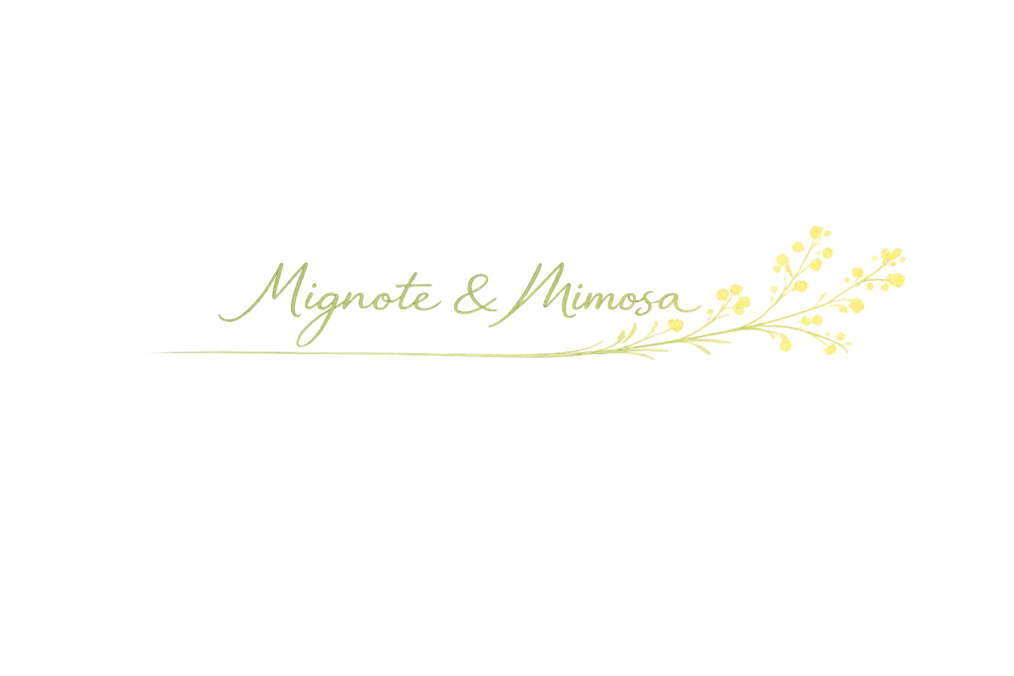 Mignote & Mimosa